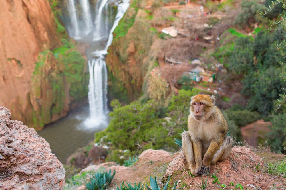 Dream Adventure Morocco